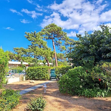 Mini Villa Jardin 50 M Plage Borgo (Corsica) Exterior foto