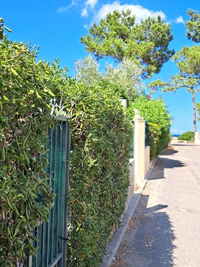 Mini Villa Jardin 50 M Plage Borgo (Corsica) Exterior foto