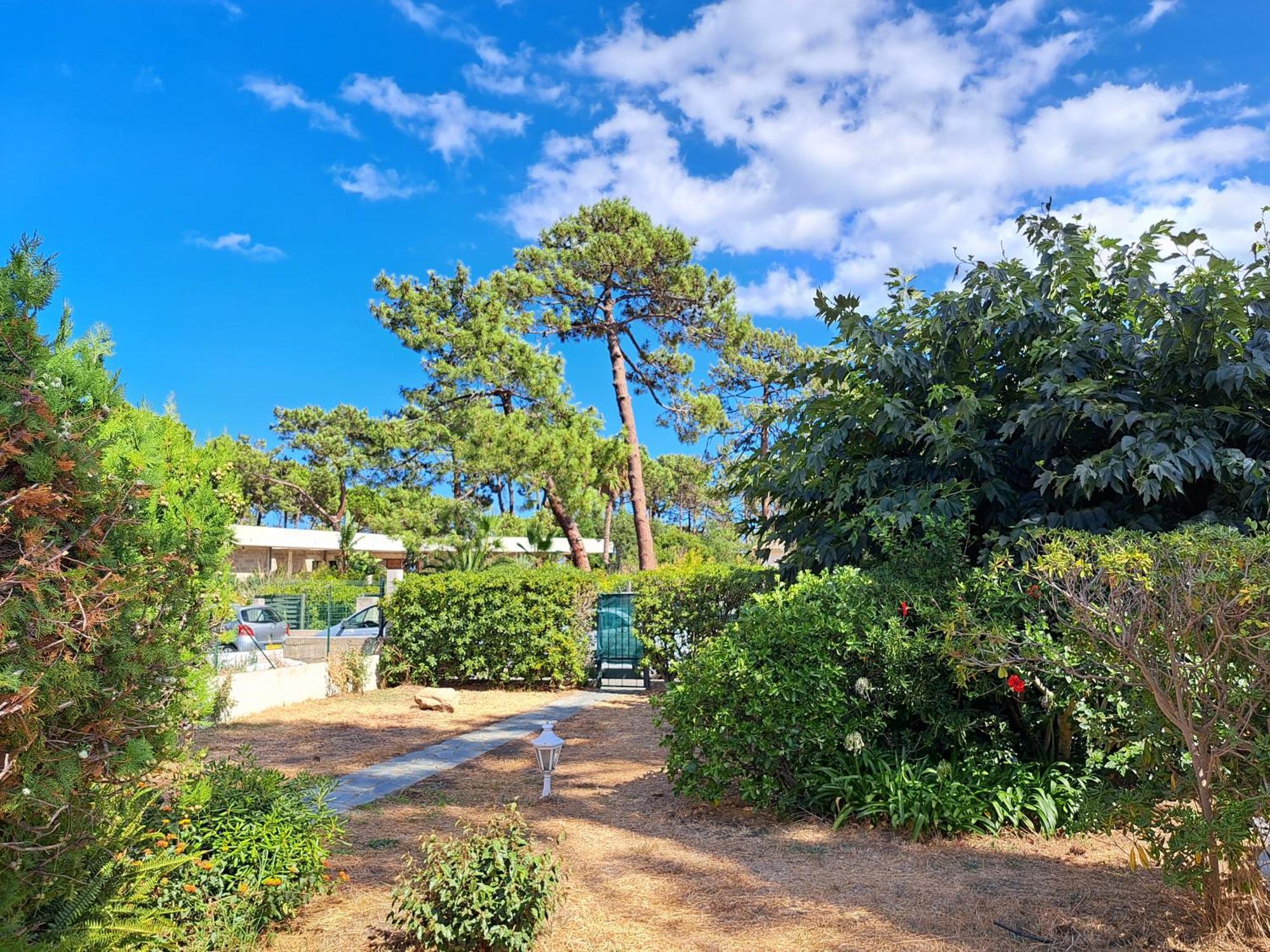 Mini Villa Jardin 50 M Plage Borgo (Corsica) Exterior foto