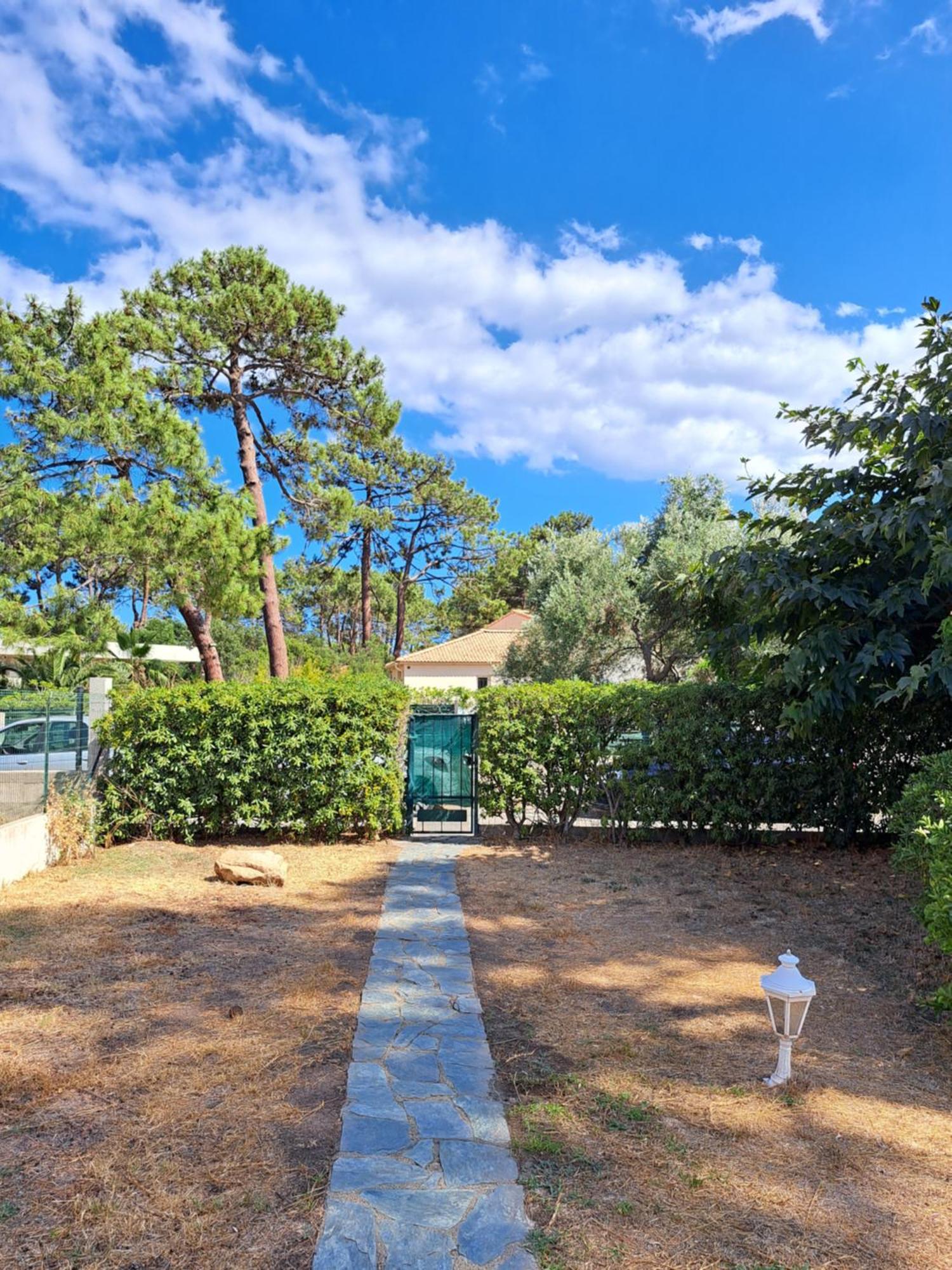 Mini Villa Jardin 50 M Plage Borgo (Corsica) Exterior foto