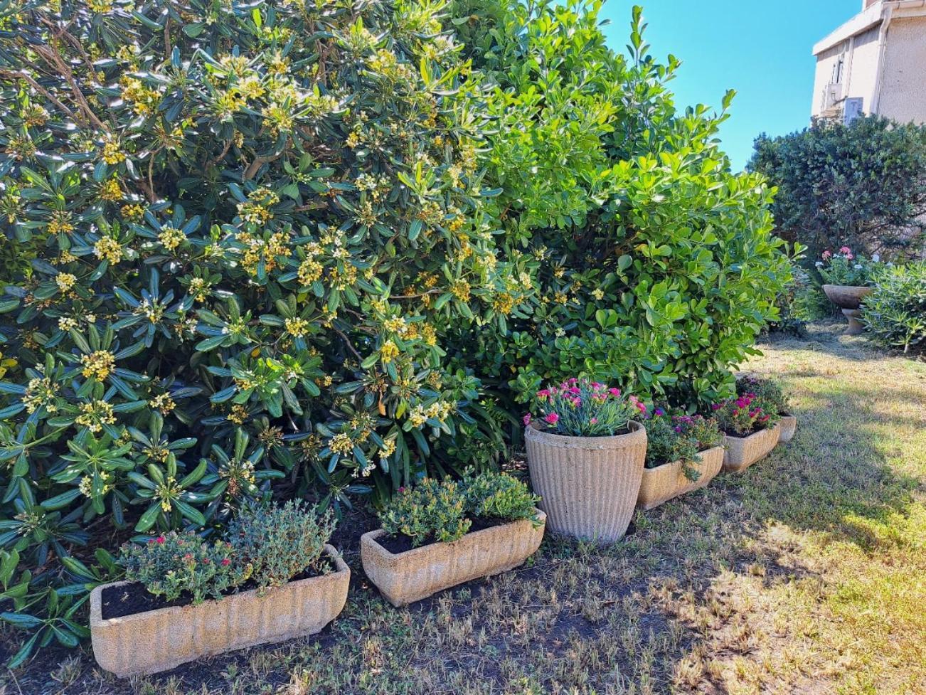Mini Villa Jardin 50 M Plage Borgo (Corsica) Exterior foto