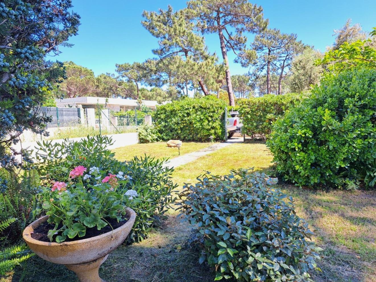 Mini Villa Jardin 50 M Plage Borgo (Corsica) Exterior foto